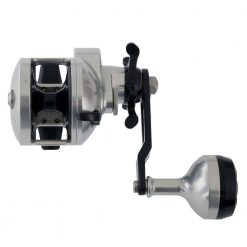 Accurate Tern TX-300 Star Drag Jigging Reel 8 Accurate Tern TX-300 Star Drag Jigging Reel -Actisense US Store 131589 5 n 1