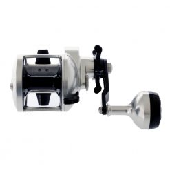 Accurate Tern TX-500 Star Drag Jigging Reel -Actisense US Store 131591 5 n 1