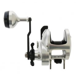 Accurate Tern TX-600N Star Drag Jigging Reel 13 Accurate Tern TX-600N Star Drag Jigging Reel -Actisense US Store 135654 8 n 1