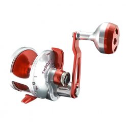 Accurate Valiant BV-600PN Jigging Reel